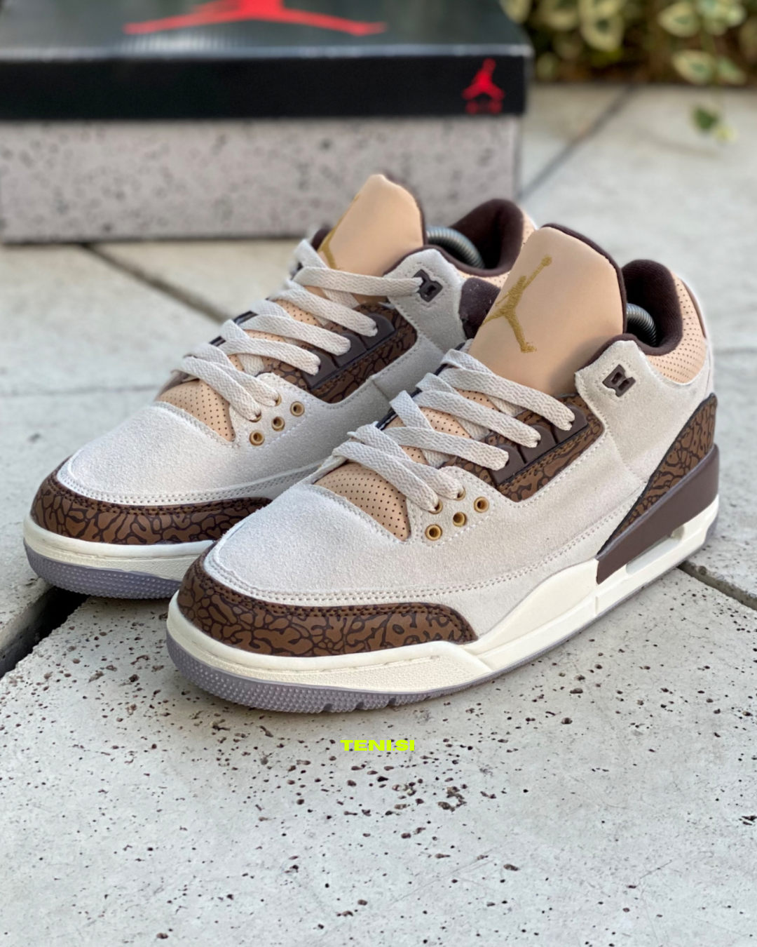 Air Jordan 3 retro Palomino TENISI