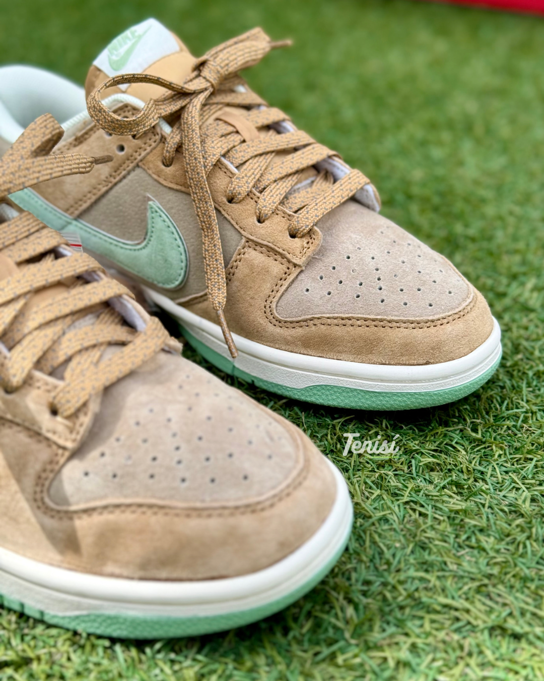 Nike Dunk Low x Otomo Katsuhiro