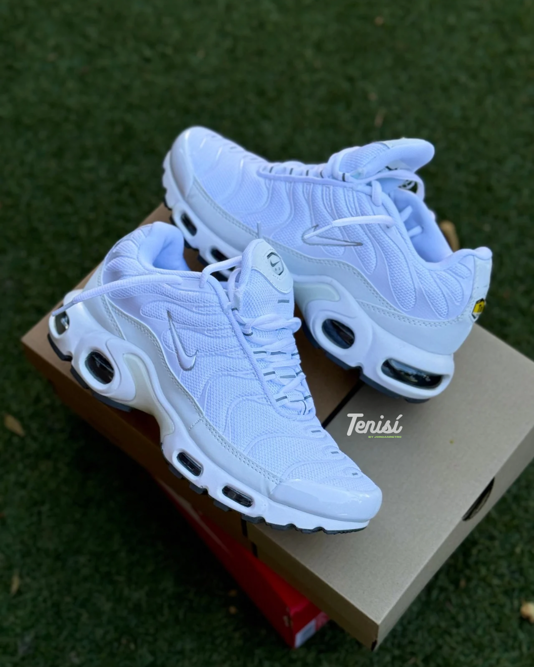 Nike Air Max TN Triple White