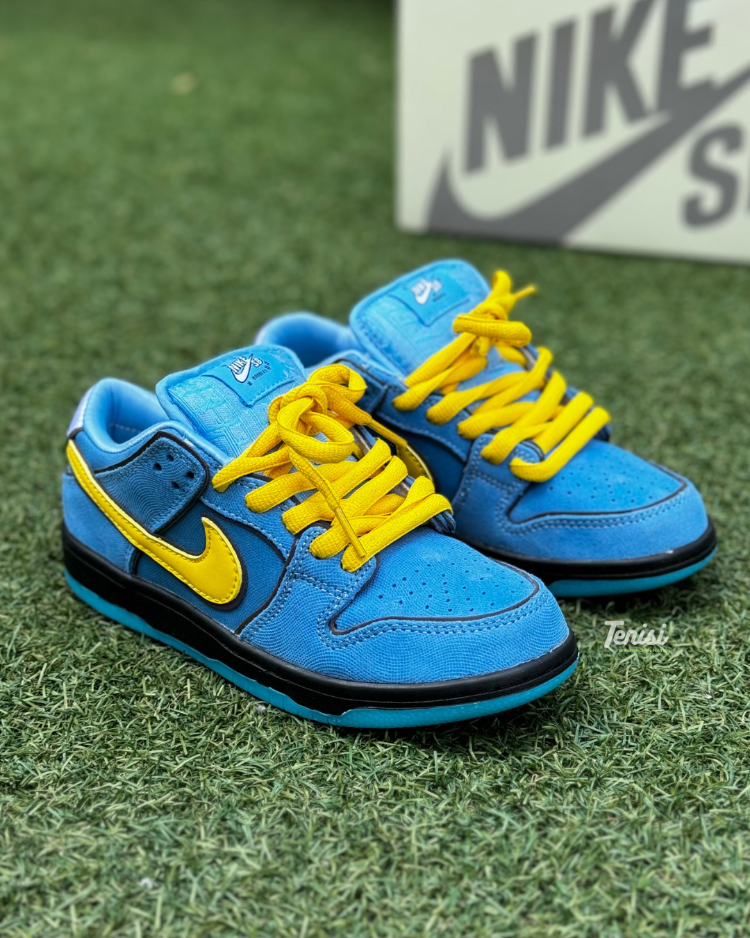 Nike Dunk Sb x Powerpuff Girls “Blue”