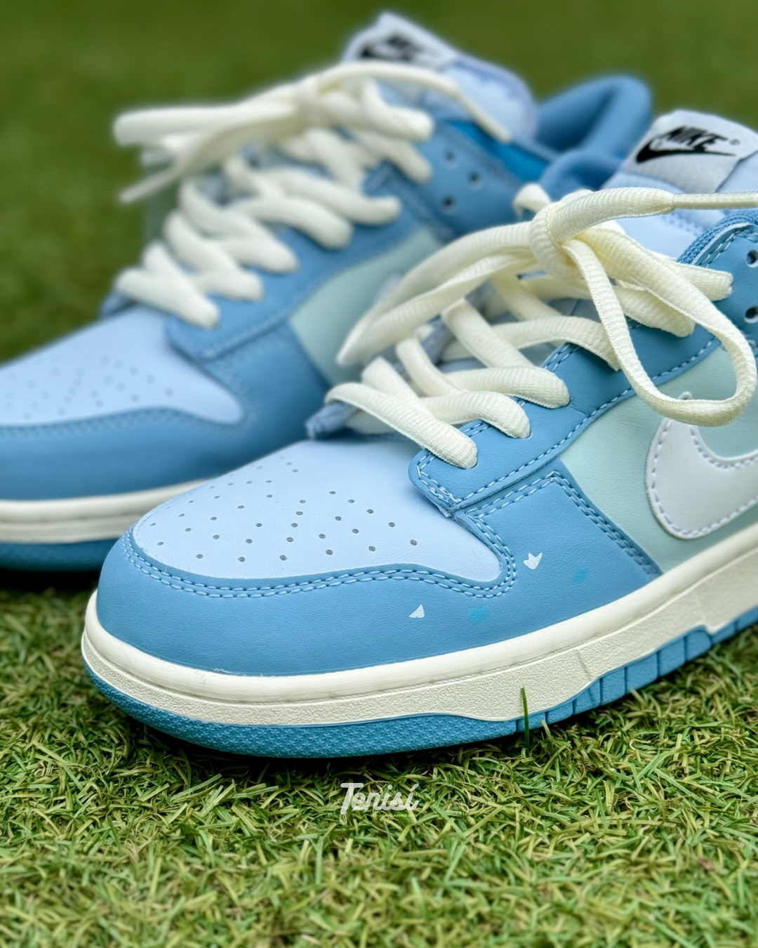 Nike Dunk “Legendary Birds” X Pokemon