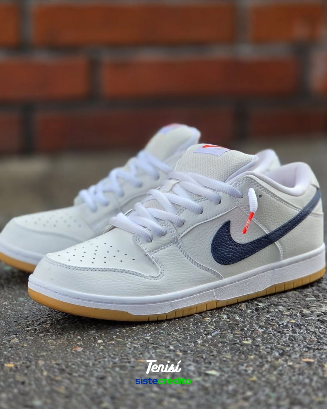 Nike SB Dunk Low Pro ISO
