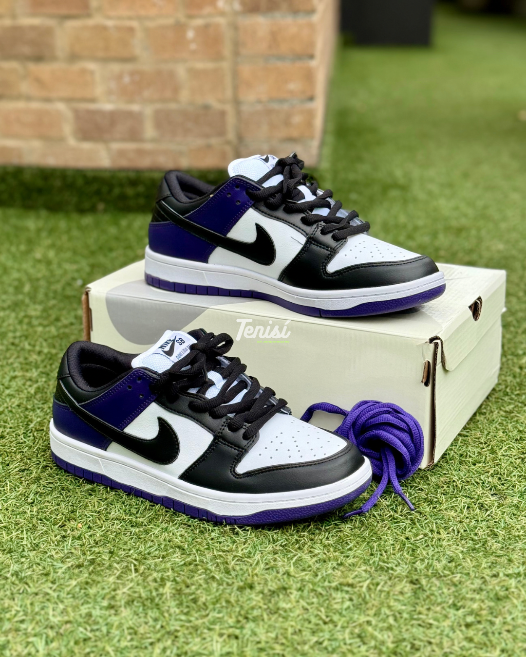 Nike Dunk Sb pro “ Purple”