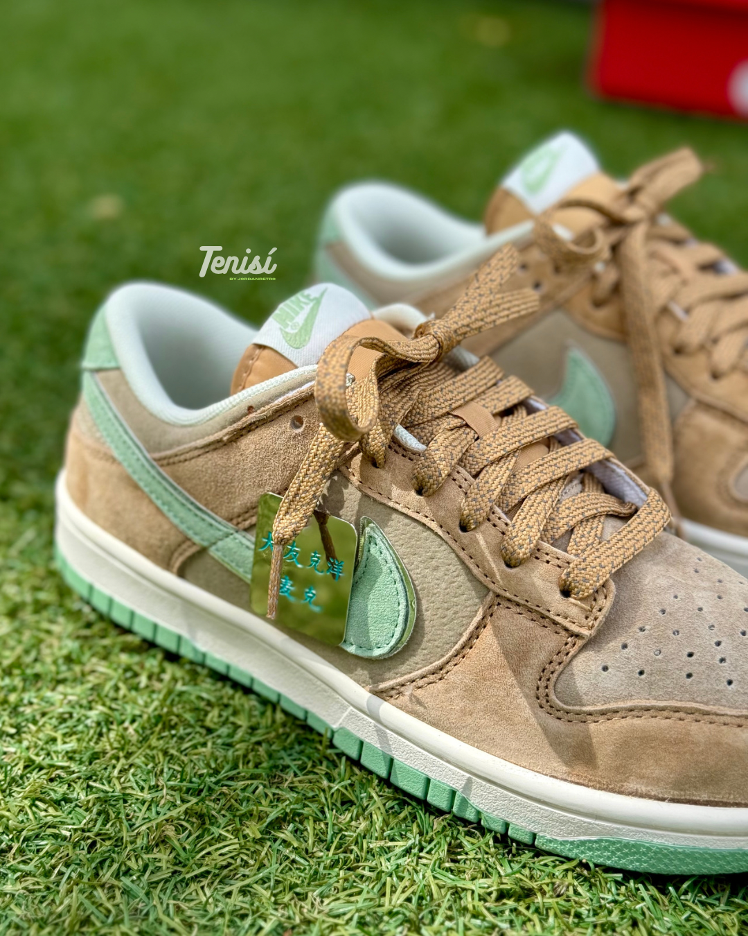 Nike Dunk Low x Otomo Katsuhiro