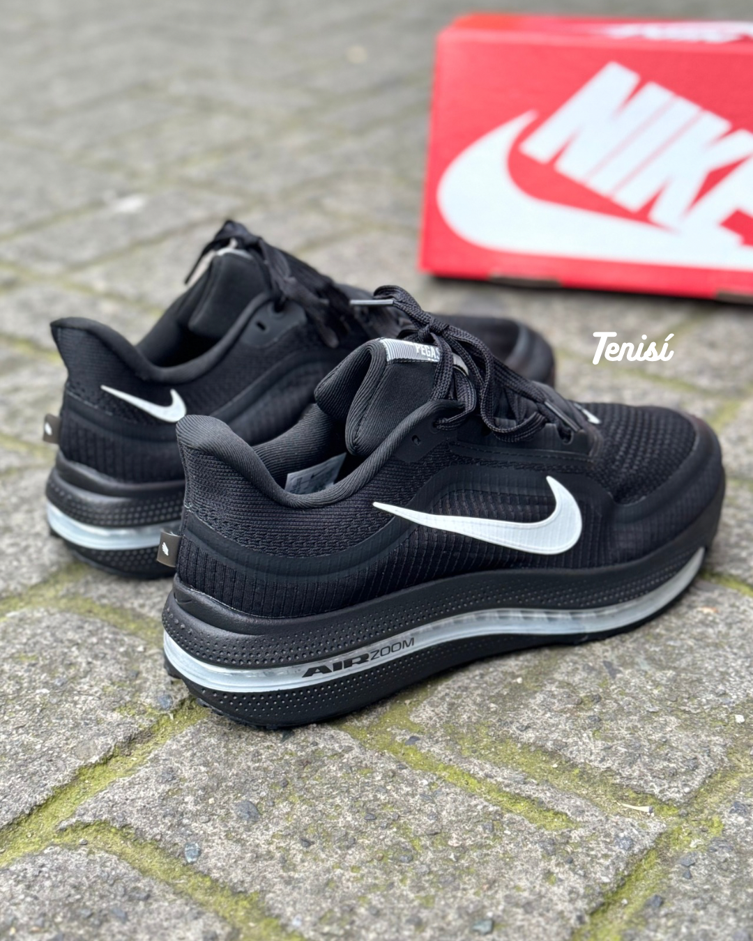Nike Pegasus Premium “Black”