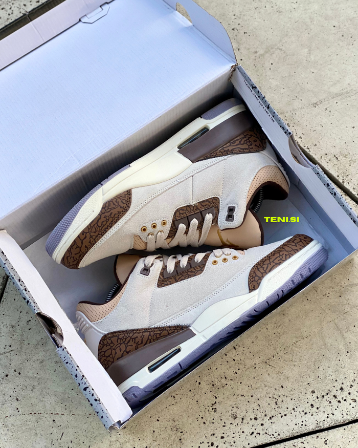 Air Jordan 3 retrô “Palomino” look 2