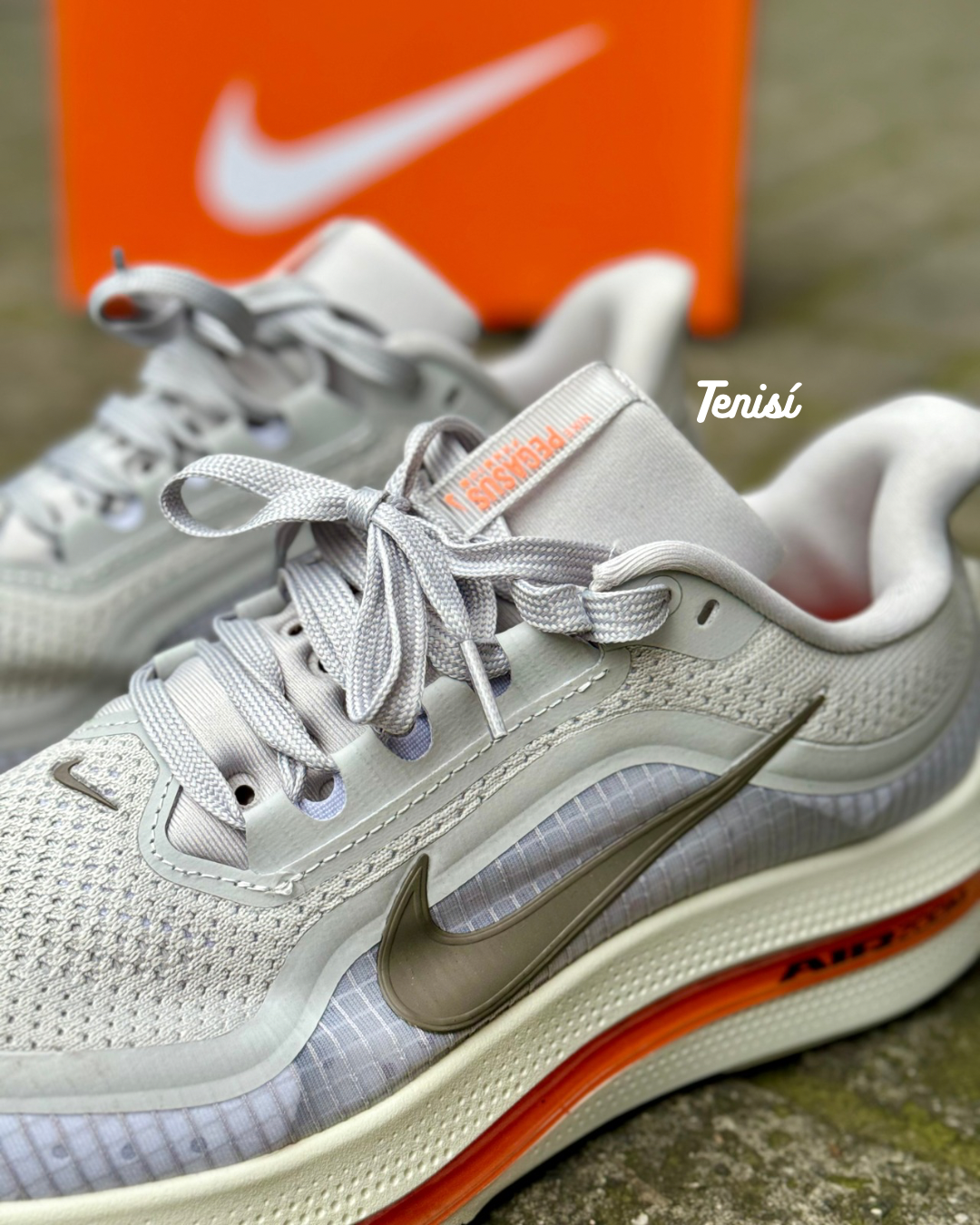 Nike Pegasus Premium