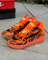Puma Hoops vista 1
