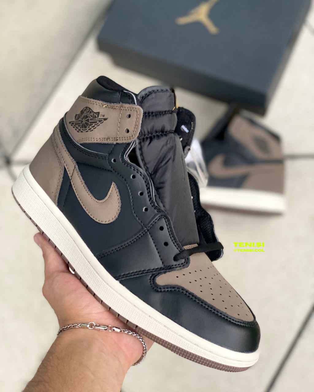 Air Jordan 1 “Palomino”