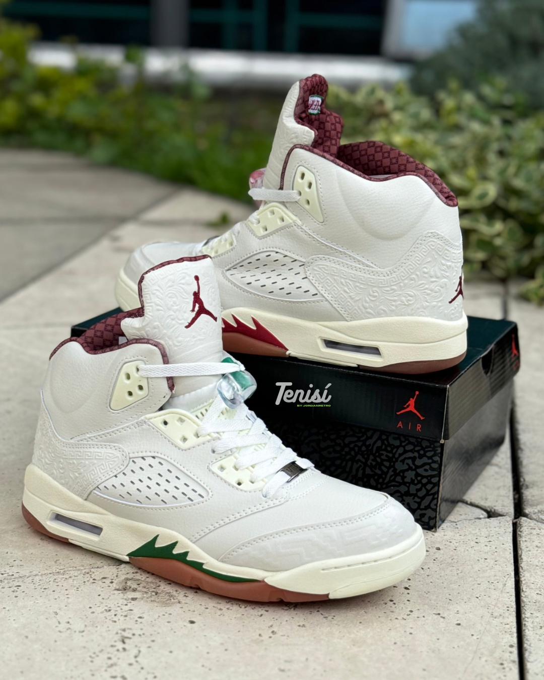 Air Jordan 5 retro “El Grito México”