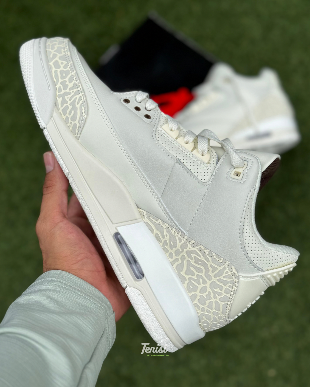 Air Jordan 3 X Travis Scott