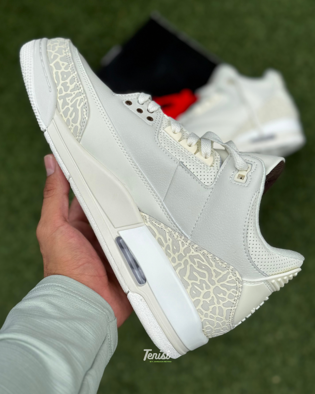 Air Jordan 3 X Travis Scott