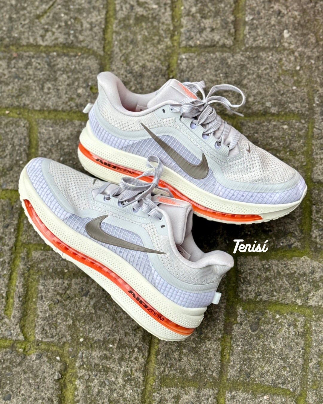 Nike Pegasus Premium