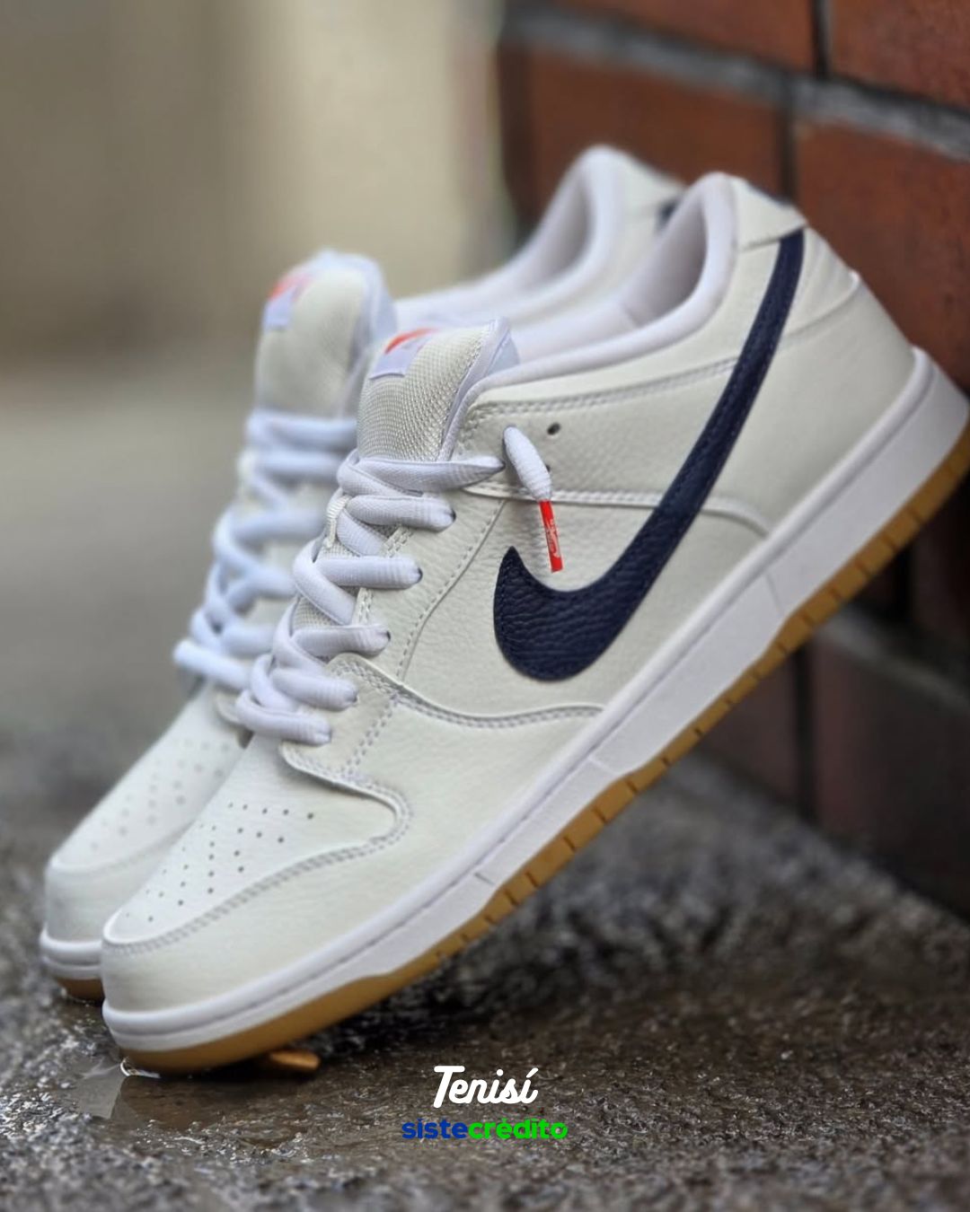 Nike SB Dunk Low Pro ISO