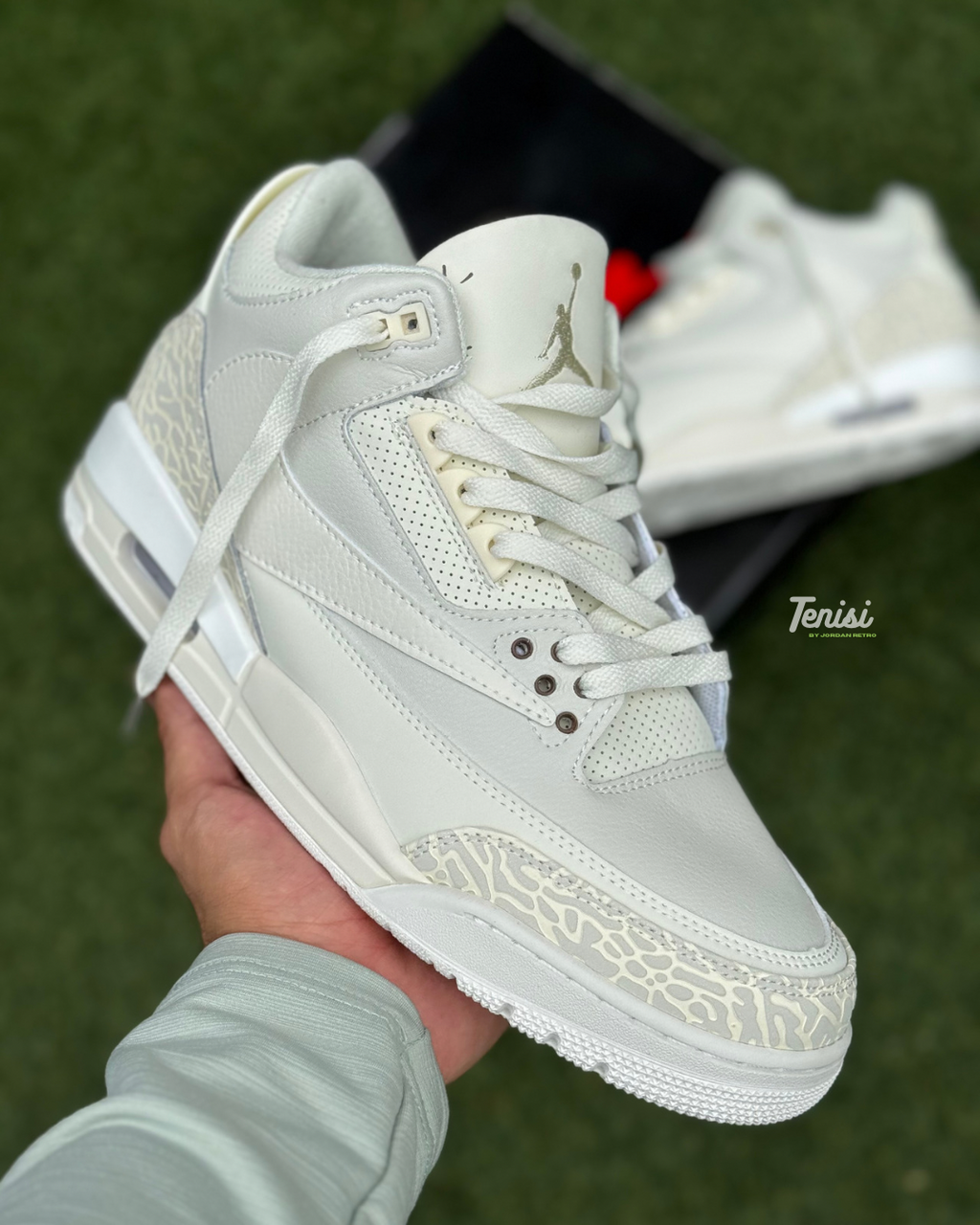 Air Jordan 3 X Travis Scott