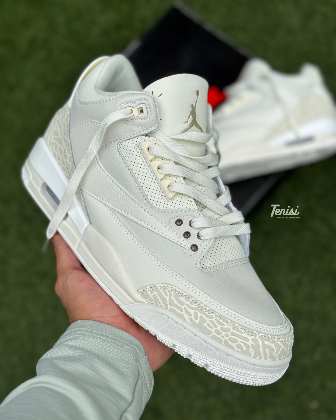 Air Jordan 3 X Travis Scott