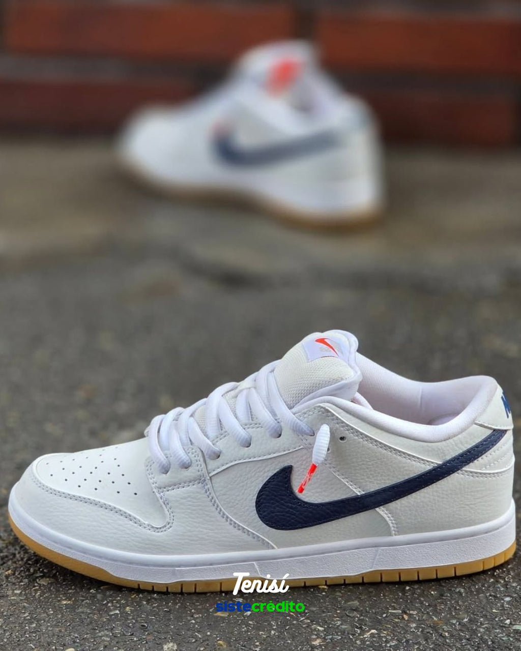Nike SB Dunk Low Pro ISO