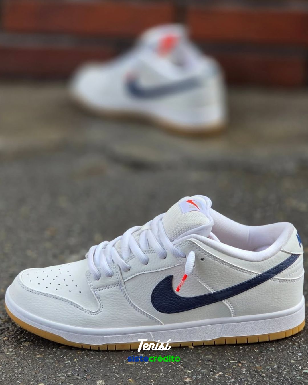 Nike SB Dunk Low Pro ISO