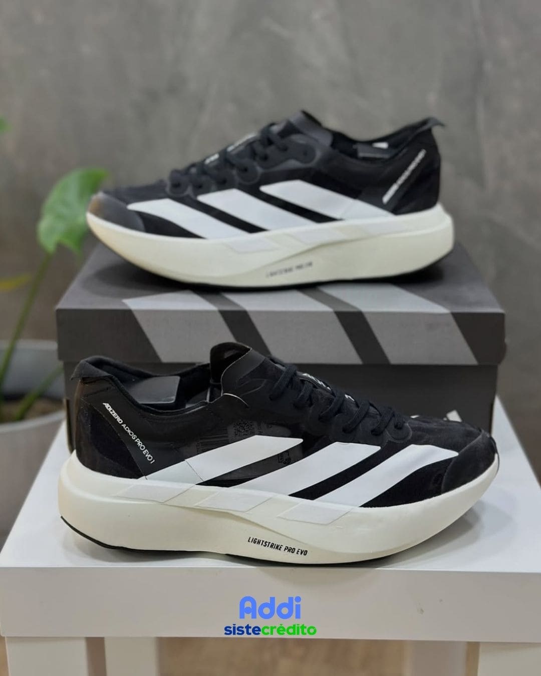 Adidas Adizero EVO SL "Suela blanca"