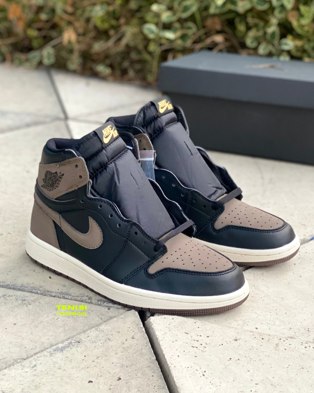 Air Jordan 1 “Palomino”