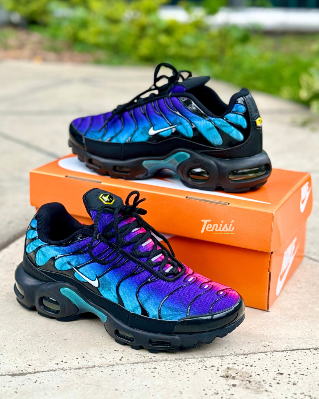 Nike Air Max TN “Bitono”