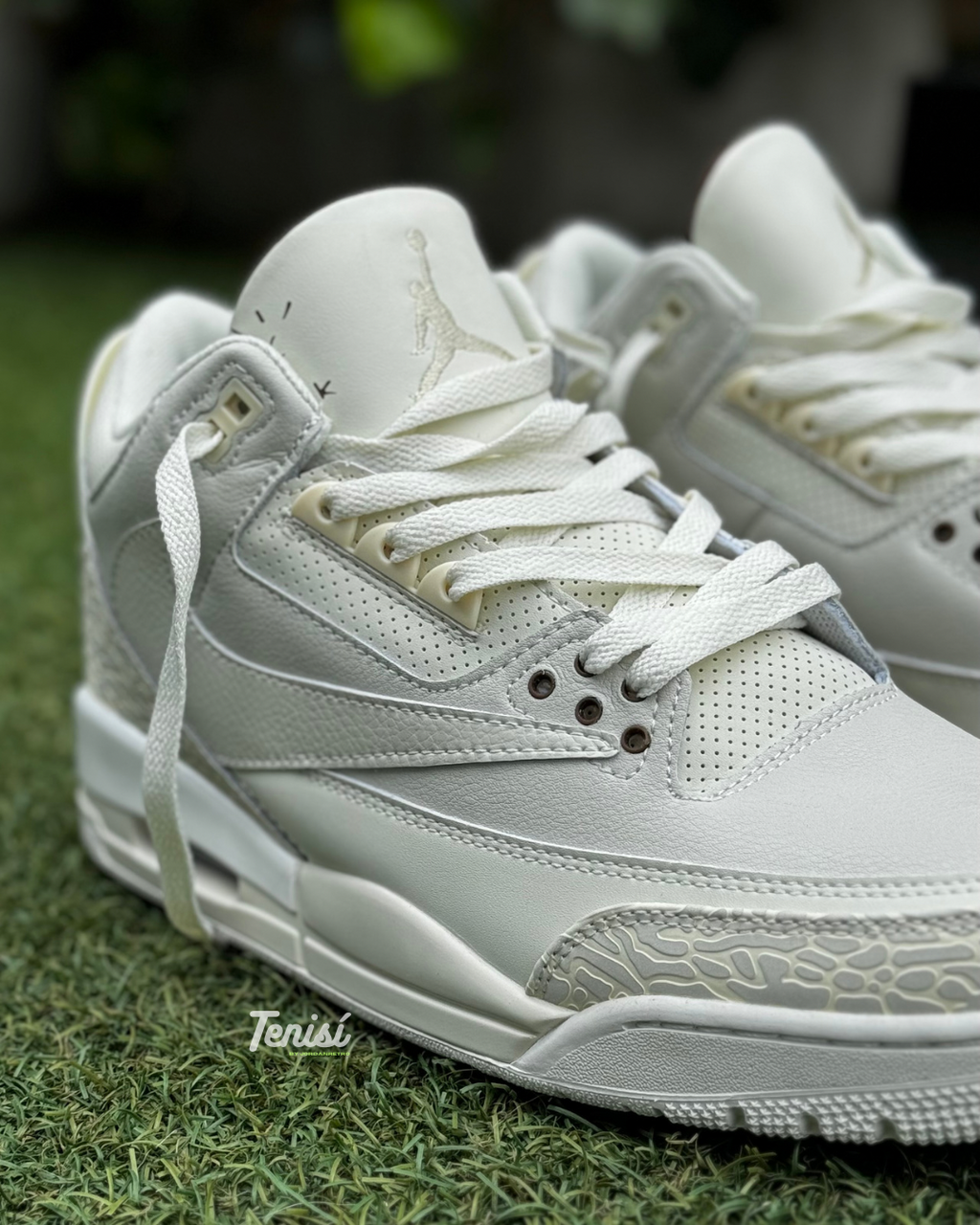 Air Jordan 3 X Travis Scott