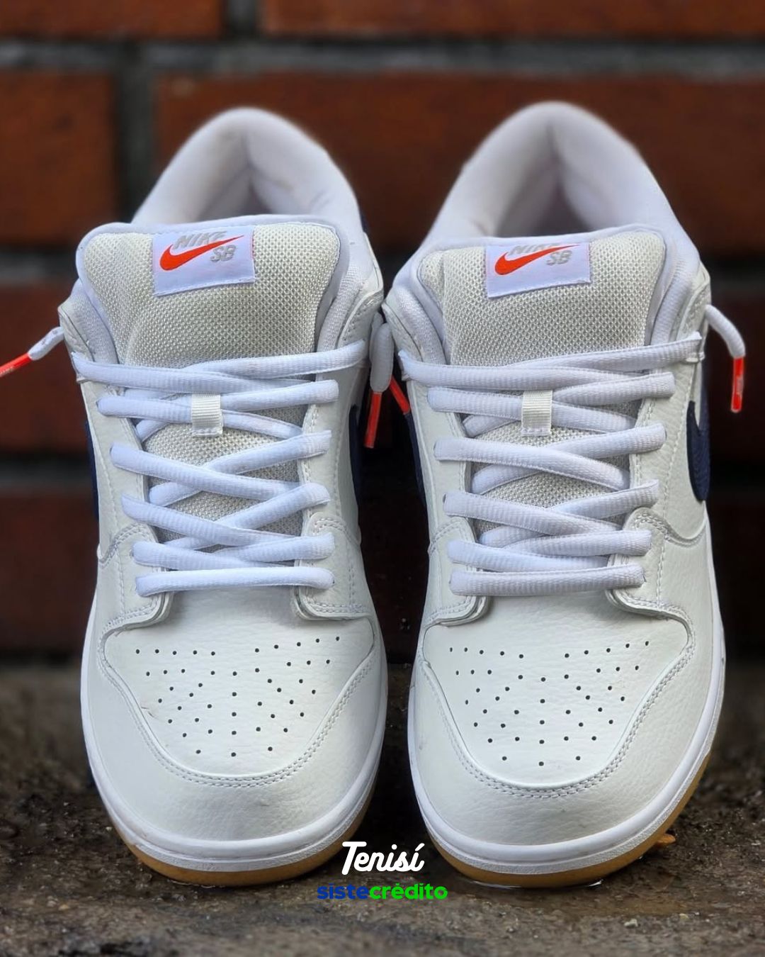 Nike SB Dunk Low Pro ISO