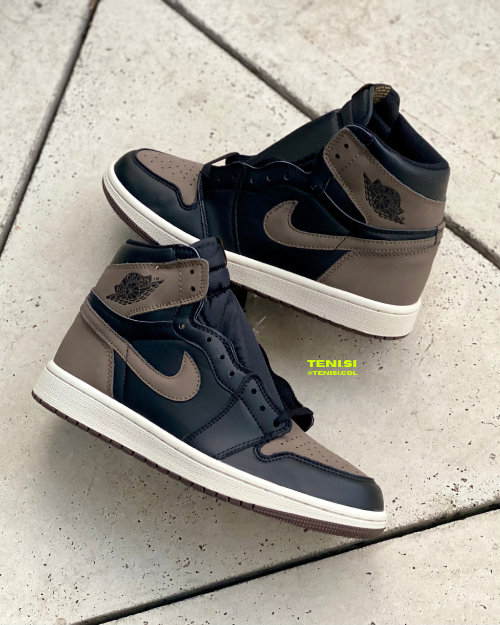 Air Jordan 1 “Palomino”