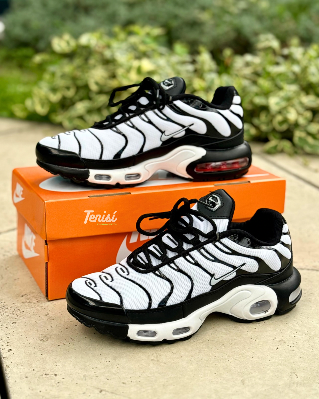 Nike Air Max TN