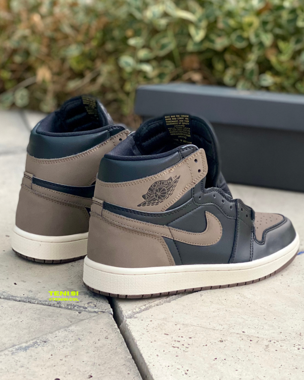 Air Jordan 1 “Palomino”