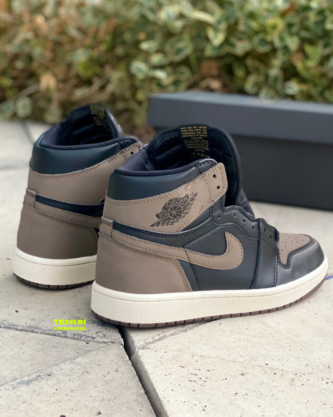 Air Jordan 1 “Palomino”