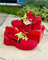 Nike x Kobe 6 vista 6