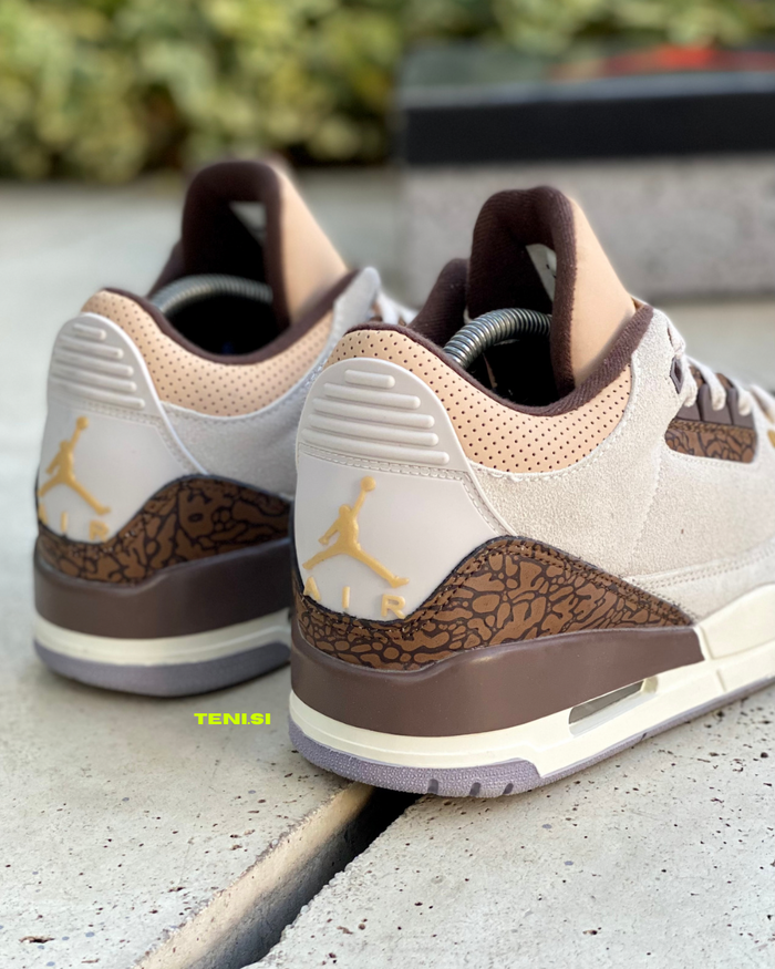 Air Jordan 3 retrô “Palomino” look 5