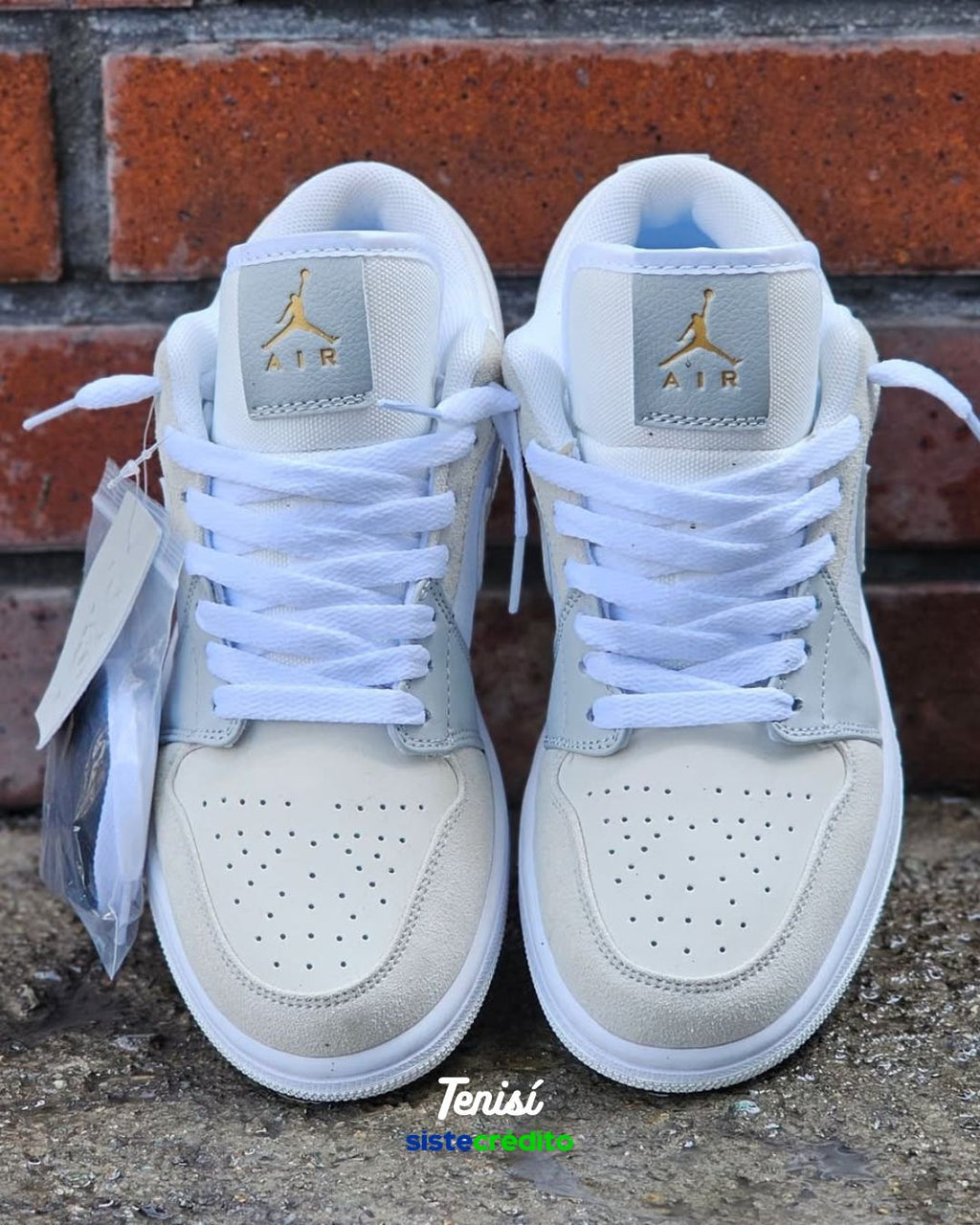 Vista lateral de las Jordan 1 Paris Edition con detalles exclusivos