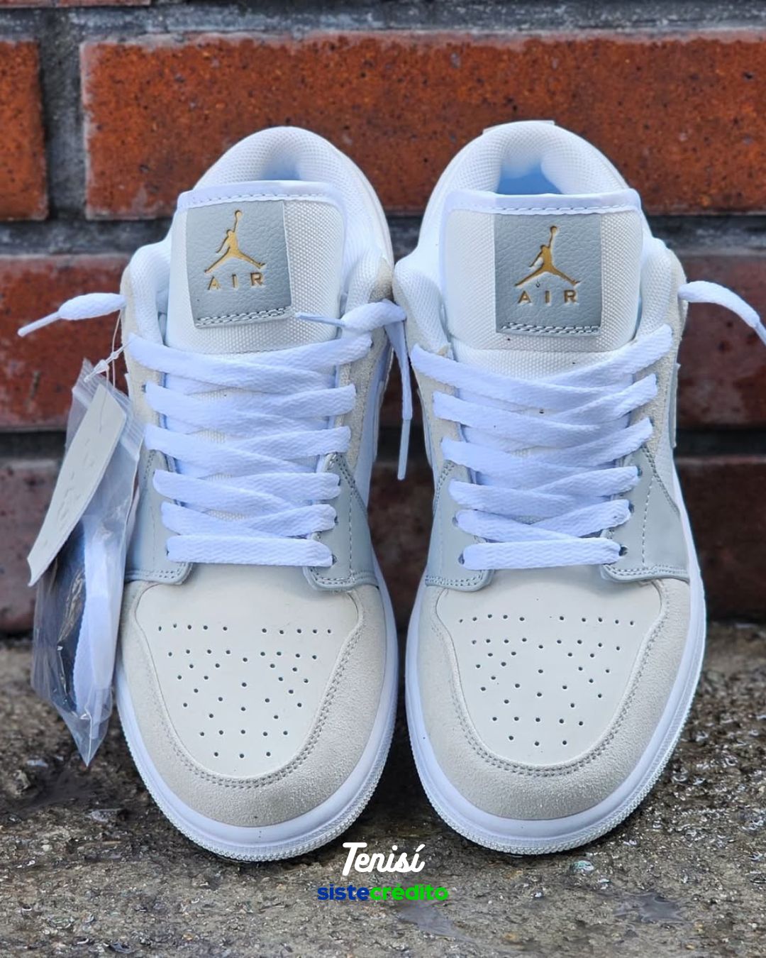 Vista lateral de las Jordan 1 Paris Edition con detalles exclusivos